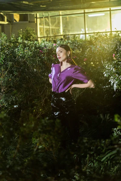 Elegant Young Woman Purple Blouse Standing Arms Akimbo Orangery — Stock Photo, Image