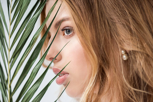 dreamy and attractive girl near green palm leaf on white 