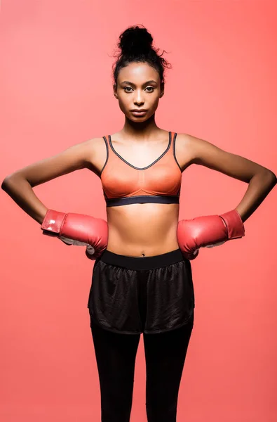 beautiful african american sportswoman in boxing gloves posing with hands akimbo and looking at camera isolated on coral
