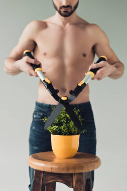 Gri izole büyük makas ile yeşil bitki kesme gömleksiz adam Kırpılmış görünümü
