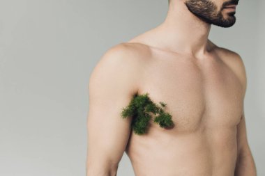 Gri üzerinde izole koltuk altı bitki ile sakallı adam Kırpılmış görünümü