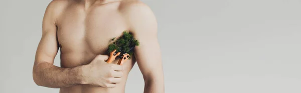 Panoramic Shot Shirtless Man Cutting Plant Armpit Secateurs Isolated Grey — Stok Foto