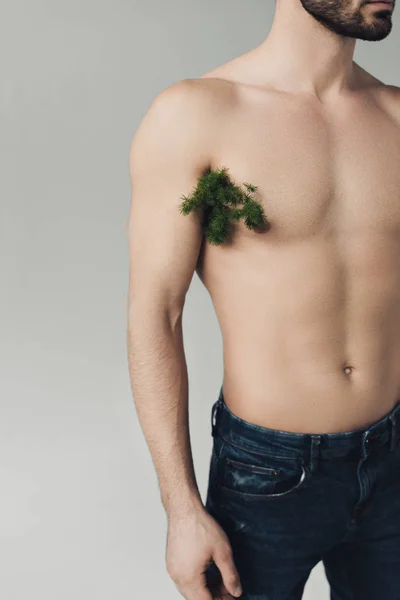 Cropped View Bearded Man Plant Armpit Isolated Grey — Stock Photo, Image