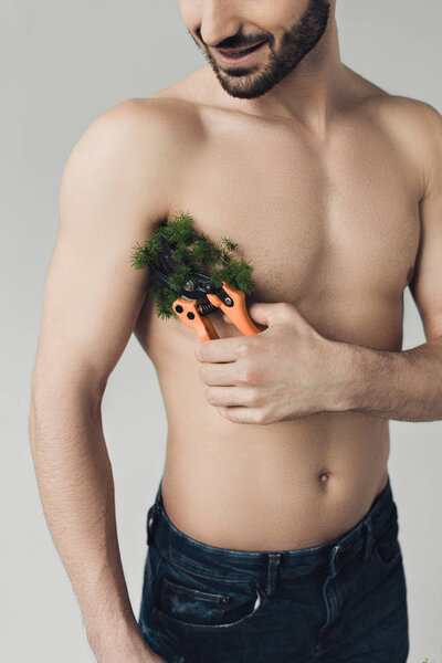 Cropped view of smiling bearded shirtless man cutting plant on armpit with secateurs isolated on grey