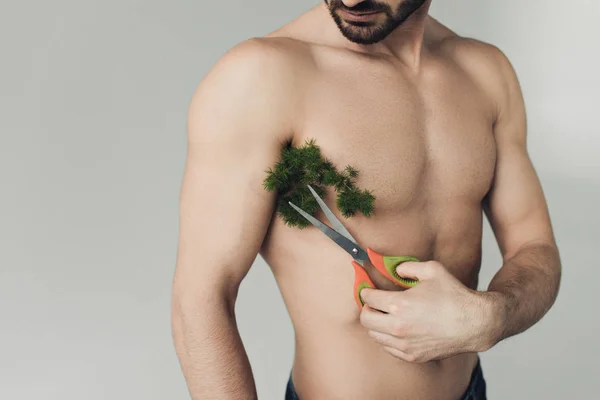 Partial View Bearded Shirtless Man Cutting Plant Armpit Scissors Isolated — Stock Photo, Image