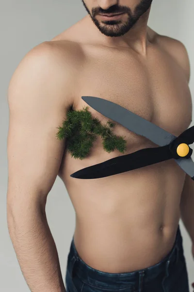 Частичный Вид Человека Рубашки Растением Подмышкой Большими Ножницами Изолированными Сером — стоковое фото
