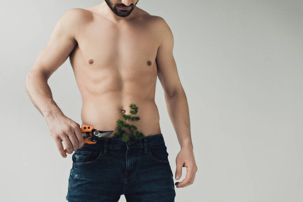Partial shot of bearded shirtless man with plant in pants holding secateurs isolated on grey