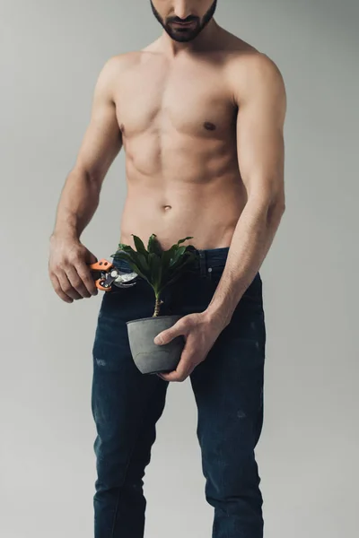 Vista Parcial Homem Sem Camisa Jeans Planta Corte Com Tesouras — Fotografia de Stock