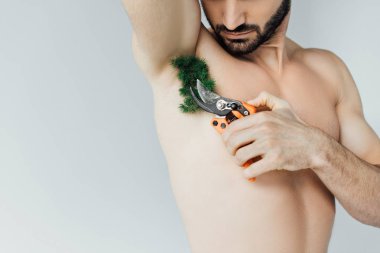gri izole secateurs ile koltuk altı üzerinde sakallı adam kesme tesisi kısmi görünümü