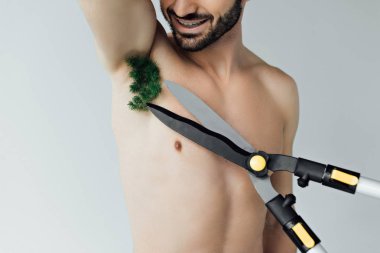 partial view of shirtless man with plant on armpit and scissors isolated on grey clipart