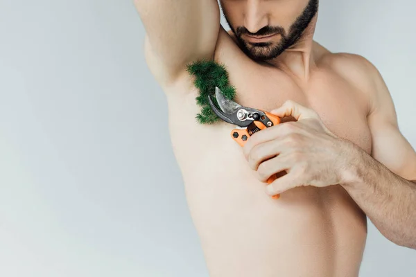 Partial View Bearded Man Cutting Plant Armpit Secateurs Isolated Grey — Stock Photo, Image