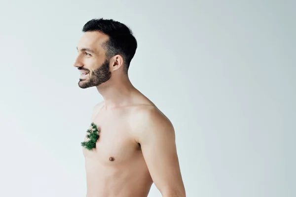 Smiling Bearded Man Green Plant Chest Looking Away Isolated Grey — Stock Photo, Image