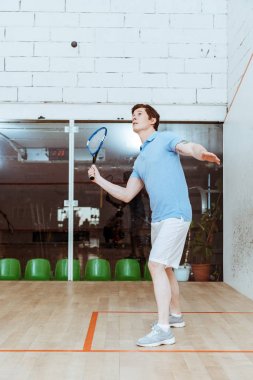 Sportsman in blue polo shirt playing squash in four-walled court clipart