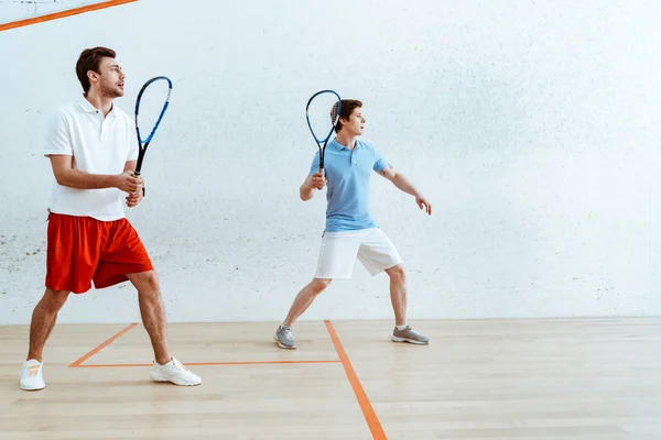 Full Längd Bild Två Idrottsmän Spelar Squash Fyra Väggar Domstol — Stockfoto