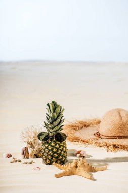 güneş gözlüğü ile ananas, denizyıldızı, Saman Şapka ve kopya alanı ile plajda deniz taşları