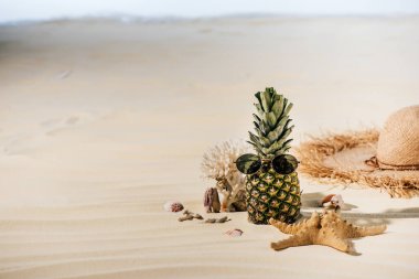 güneş gözlüğü ile ananas, denizyıldızı, Saman Şapka ve kopya alanı ile kumlu plajda deniz taşları