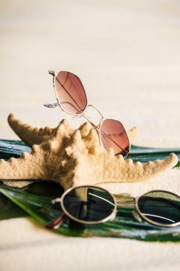 güneş gözlüğü seçici odak, yeşil yaprakları ve sahilde denizyıldızı