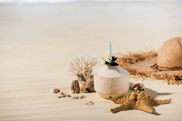coconut cocktail, coral, starfish, Straw Hat and sea stones on sandy beach with copy space