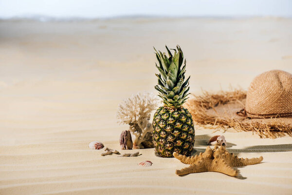 pineapple, Straw Hat, starfish, coral and sea stones on sandy beach with copy space