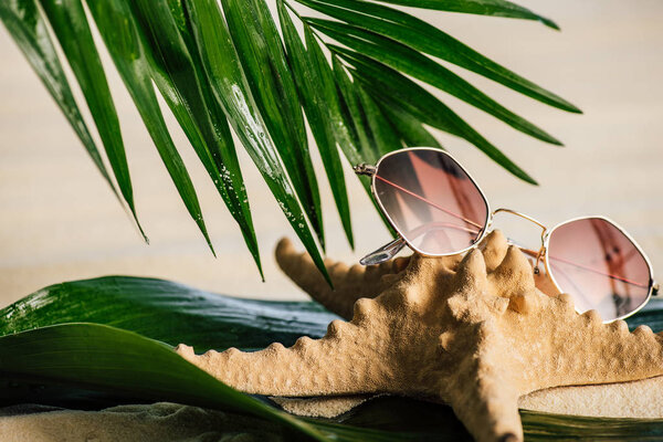 sunglasses, starfish and palm leaves on sandy beach