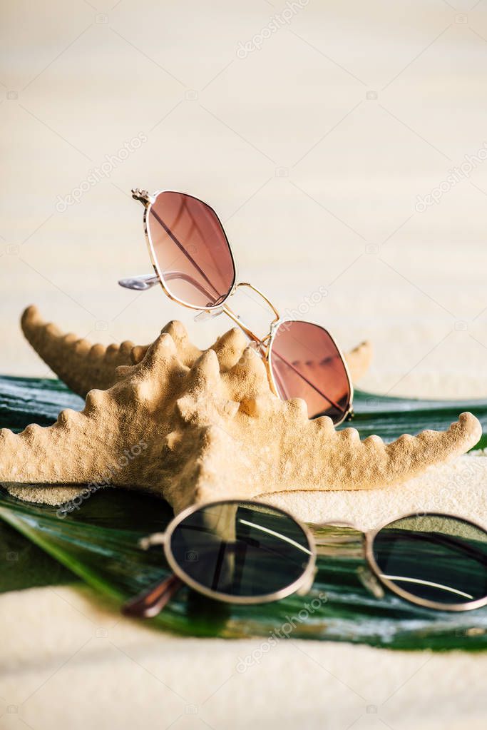 selective focus of sunglasses, green leaves and starfish on beach