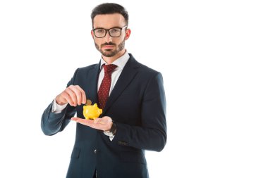 confident businessman putting coin into piggy bank and looking at camera isolated on white clipart