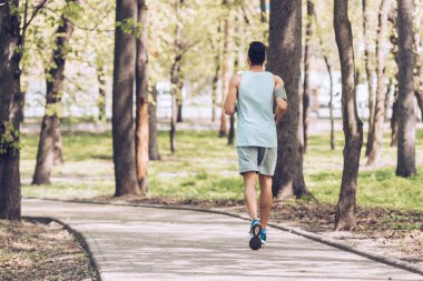 parkta geçit boyunca koşu genç sporcu nun arka görünümü