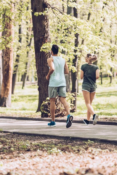 在绿色的夏季公园里跑步的年轻运动员和女运动员 — 图库照片