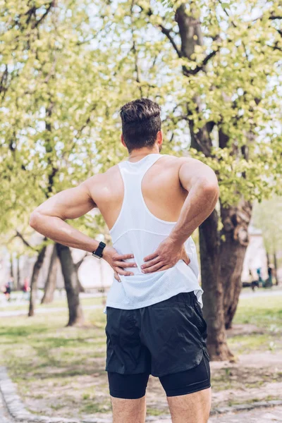 Vue Arrière Jeune Sportif Debout Dans Parc Touchant Dos Blessé — Photo