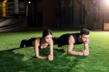 yakışıklı atletik adam ve çekici kadın çim üzerinde tahta egzersiz yapıyor 
