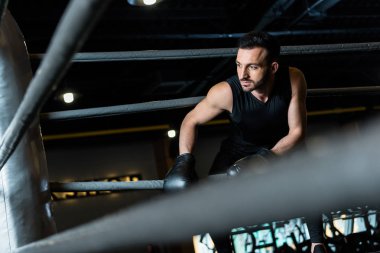 boks eldivenyakışıklı sakallı adam seçici odak 