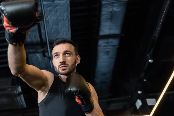 Vista Ángulo Bajo Del Hombre Guapo Ejercitando Guantes Boxeo — Foto de Stock