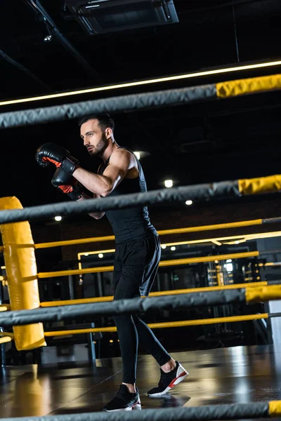 ボクシングリングに立ちながらボクシンググローブで働くハンサムな男の選択的な焦点 — ストック写真