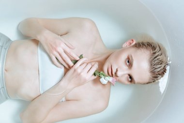 top view of tender woman gently holding flower in clear water in bathtub clipart