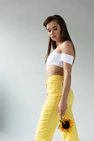 side view of beautiful woman in yellow pants posing with sunflower isolated on grey