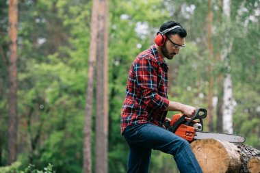 attentive lumberman in hearing protectors cutting trunk with chainsaw in forest clipart