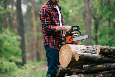 cropped view of lumberjack cutting round timbers with chainsaw in forest clipart