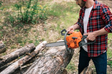 lumberer in plaid shirt cutting round timbers with chainsaw in forest clipart