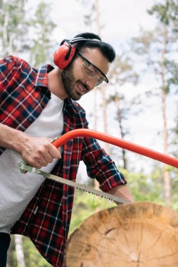 smiling lumberjack in earmuffs cutting tree trunk with bowsaw in forest clipart