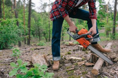 cropped view of lumberjack in checkered shirt and denim jeans cutting wood with chainsaw in forest clipart