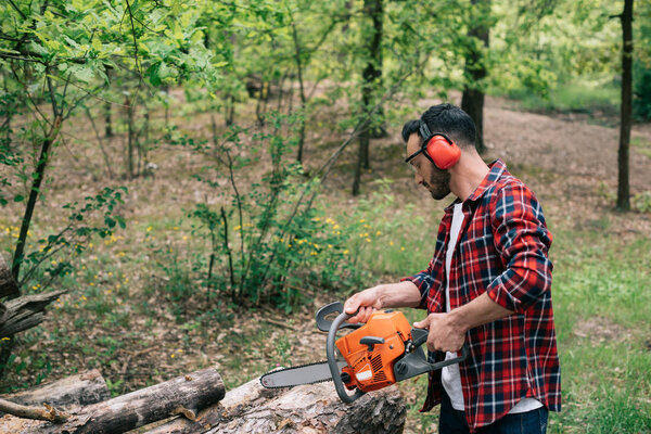 adult lumberman in plaid shirt and hearing protectors cutting logs with chainsaw in forest