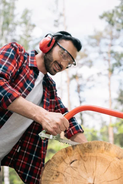 Cheerful Lumberman Protective Glasses Earmuffs Cutting Tree Trunk Handsaw Forest — Stock Photo, Image