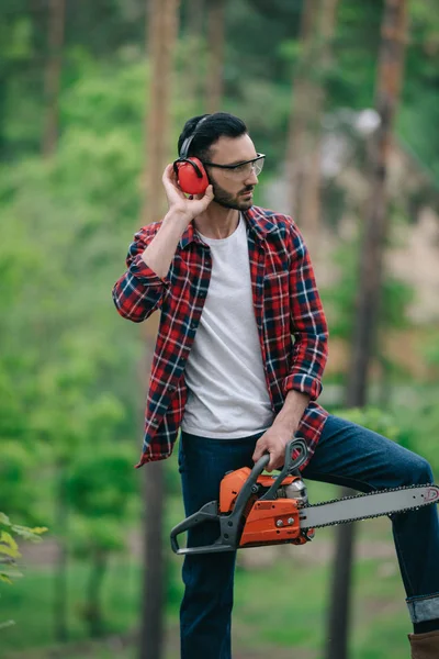 serious lumberjack in plaid shirt standing with chainsaw in forest and touching hearing protectors