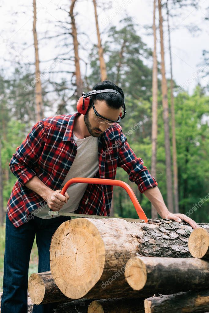 concentrated lumberjack in noise-canceling headphones cutting log with bowsaw in forest