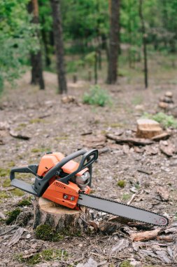 electric, sharp, orange chainsaw on wood stump in forest  clipart