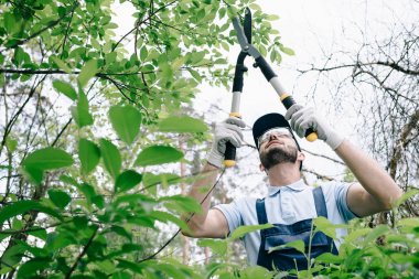 selective focus of gardener in protective glasses and cap pruning bushes with trimmer in park clipart