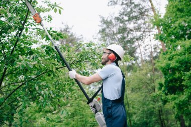 gardener in helmet and overalls trimming trees with telescopic pole saw in garden clipart