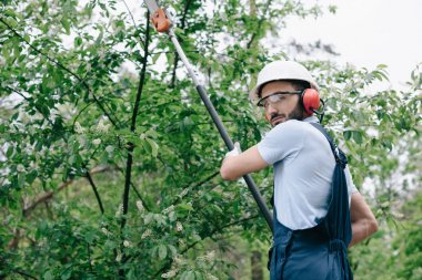 serious gardener in helmet trimming trees with telescopic pole saw and looking at camera clipart