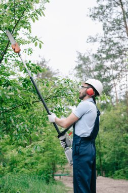 gardener in overalls and helmet trimming trees with telescopic pole saw in garden clipart