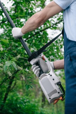 partial view of gardener in overalls trimming trees with telescopic pole saw in garden clipart